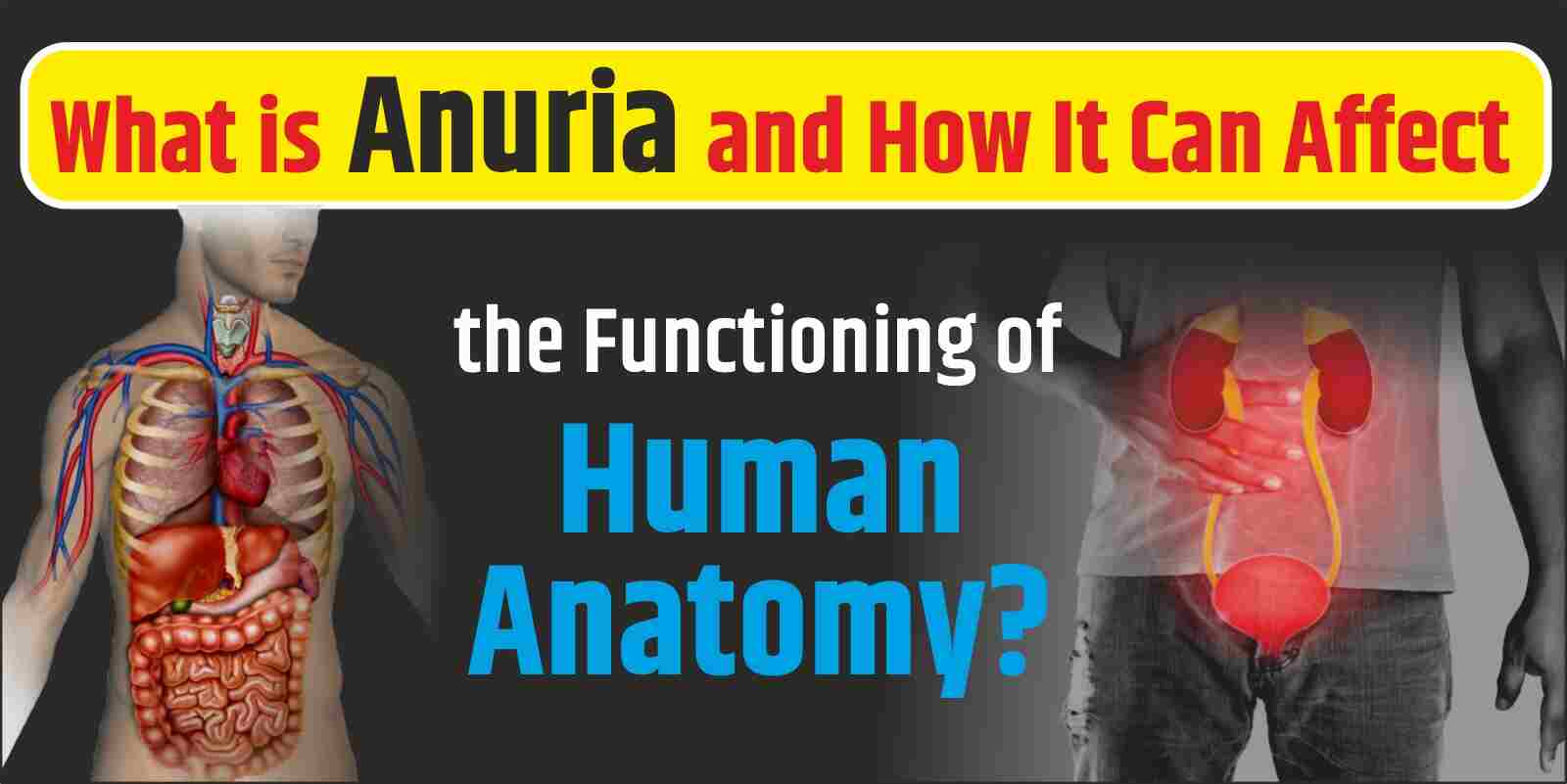 What is Anuria